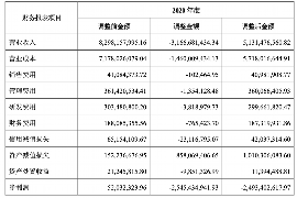 紫云债务清欠服务